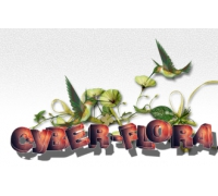 Служба доставки цветов Cyber-flora