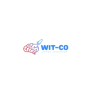Веб-агенство wit-co.ru