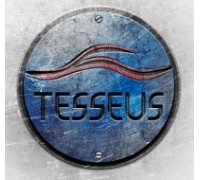 Tesseus веб-студия