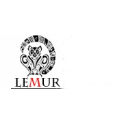 Интернет-магазин для парикмахеров LemurProf
