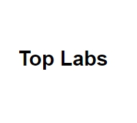 TopLabs - создание сайтов