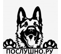 Школа дрессировки Послушно.Ру