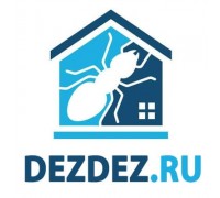 DezDez.ru (Челябинск)