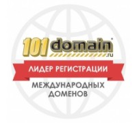 Хостинг 101 Домен