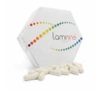 LAMININE